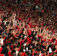 关于足球联赛球场精彩战况，球迷心情激动的信息